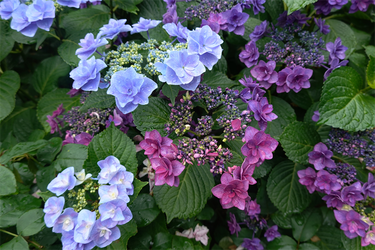 DSC08035_R