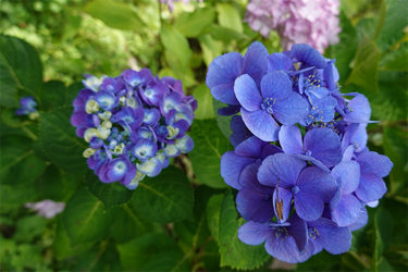 DSC08475_R