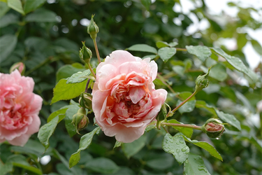 DSC08608_R