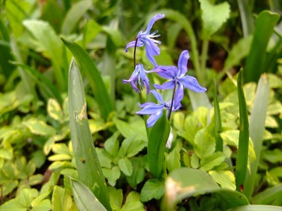 DSCF5007_R