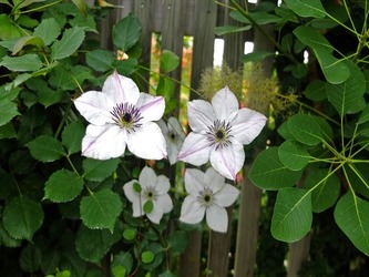 DSCF8148_R