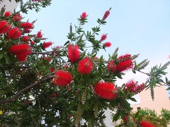 DSCF9770_R
