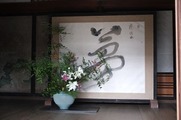 DSCF7711_R