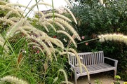 DSCF5852_R
