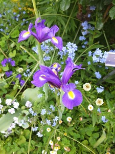 DSCF2542