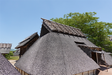 DSC07988_R