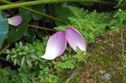 DSCF5066_R