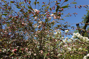 DSC06687_R