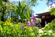 DSCF3859_R