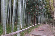 DSCF0562_R