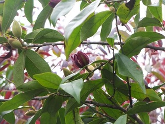 DSCF9914_R