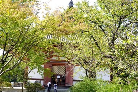 DSC02552_R