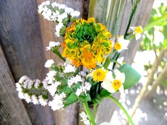 DSCF8385_R
