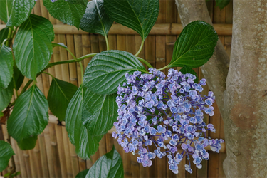 DSC08645_R