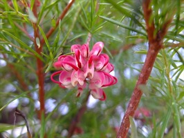 DSCF7570_R