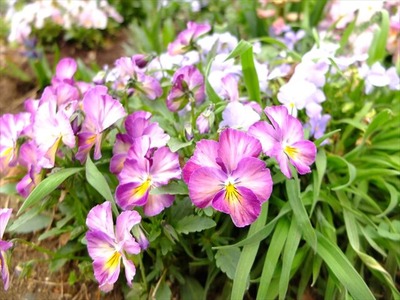 DSCF1341_R