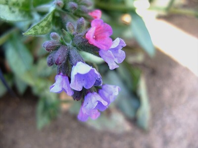 DSCF4927_R