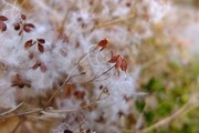 DSCF9061_R