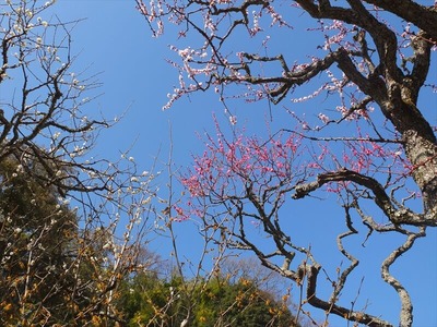 DSCF1050_R