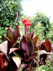 DSCF1600_R