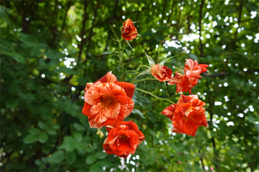 DSC08280_R