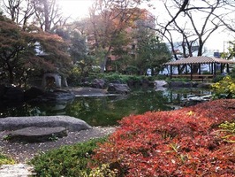 DSCF5866_R