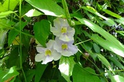 DSCF4280_R