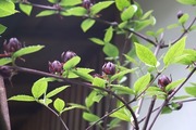 DSCF1261_R
