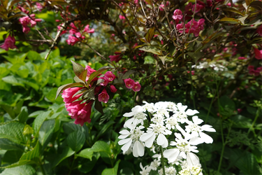 DSC00606_R