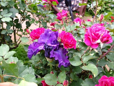 DSCF2816_R