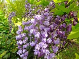 DSCF0873_R