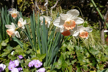 DSC05926_R