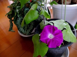 DSCF6571_R