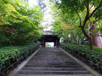DSCF5263_R