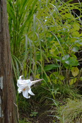 DSC09080 (1)_R