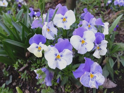 DSCF4693_R