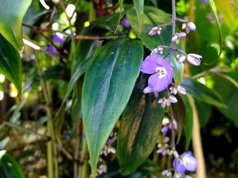 DSCF9228_R