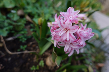 DSC00322_R