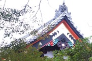 DSCF7661_R