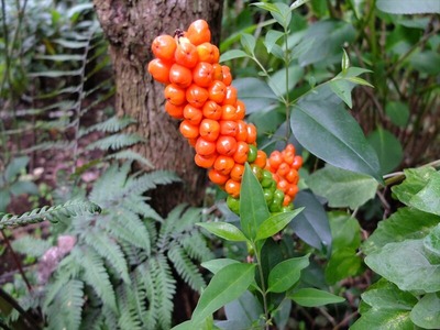 DSCF7452_R