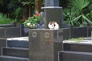 DSCF5349_R