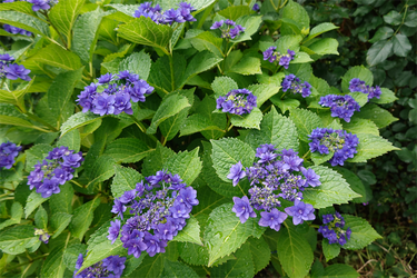 DSC08024_R