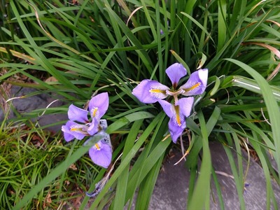 DSCF1251_R