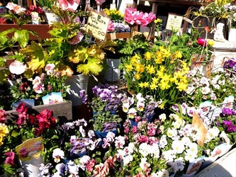 DSCF8324_R