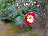 DSCF5655_R