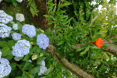 DSC08130_R