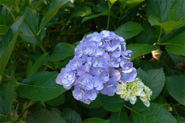 DSC03057_R