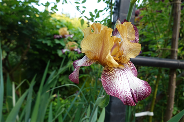 DSC07148_R