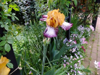DSCF2860_R