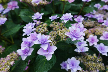 DSC08039_R